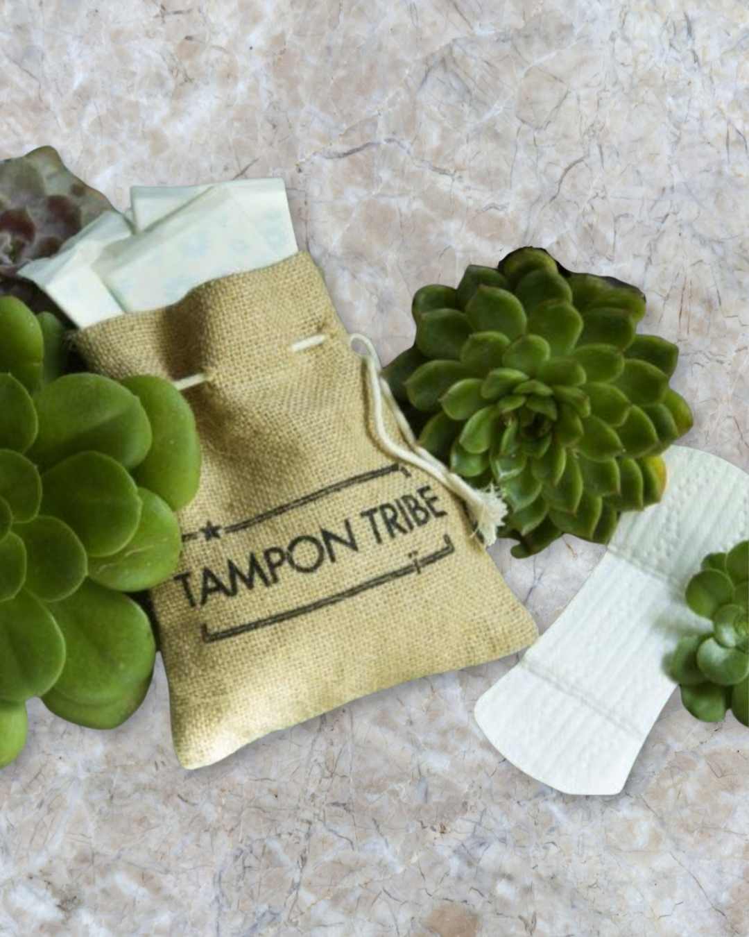 Organic Pantyliners - 24ct