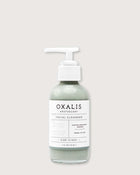 Facial Cleanser- French Sea Clay + Pineapple Enzymes