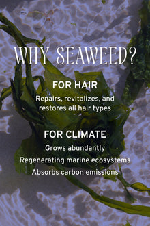Shampoo with Aloe & Seaweed